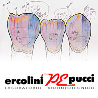 LABORATORIO ODONTOTECNICO ERCOLINI E PUCCI